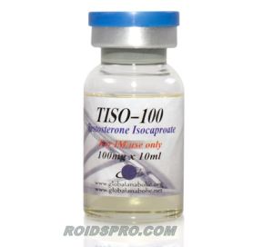 Tiso-100 for sale | Testosterone Isocaproate 100 mg/ml x 10ml Vial | Global Anabolic